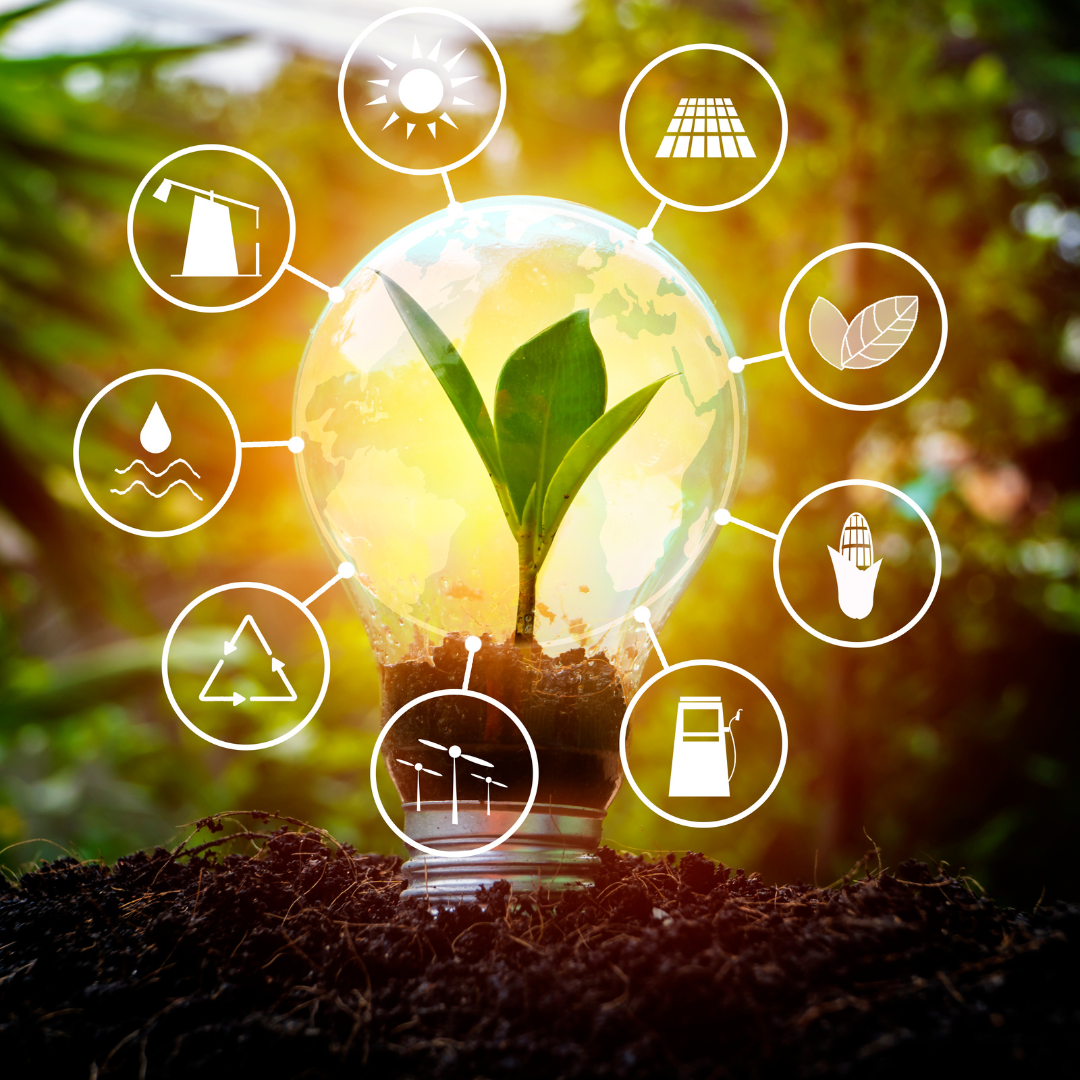 professionnel spécialisé dans les énergies renouvelables à Antibes 06